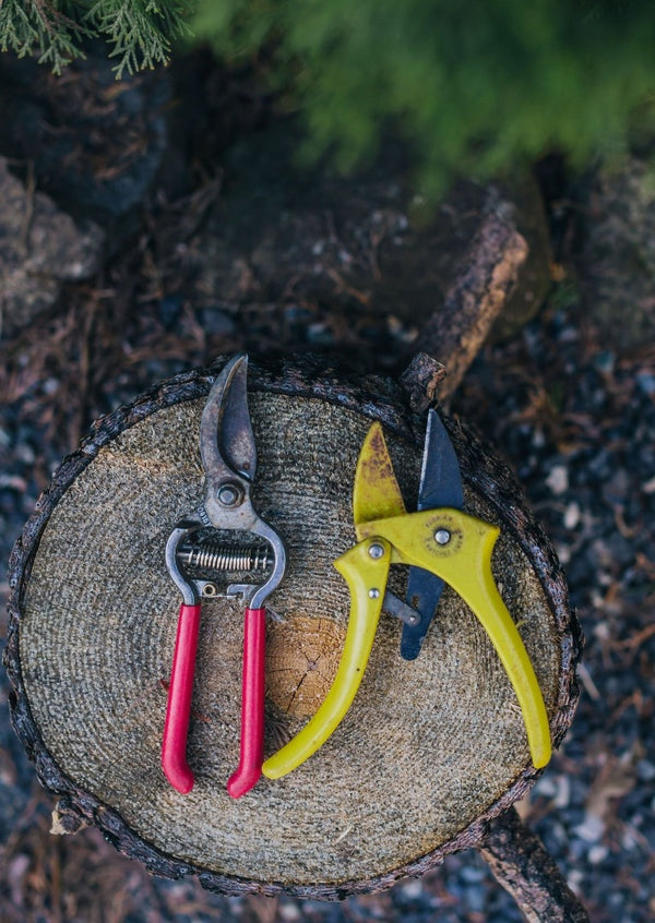 garden shears and yard shears